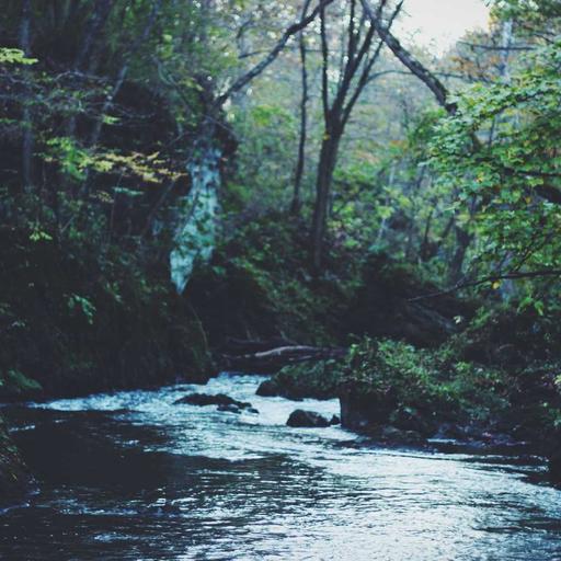 Nature · Display Ad